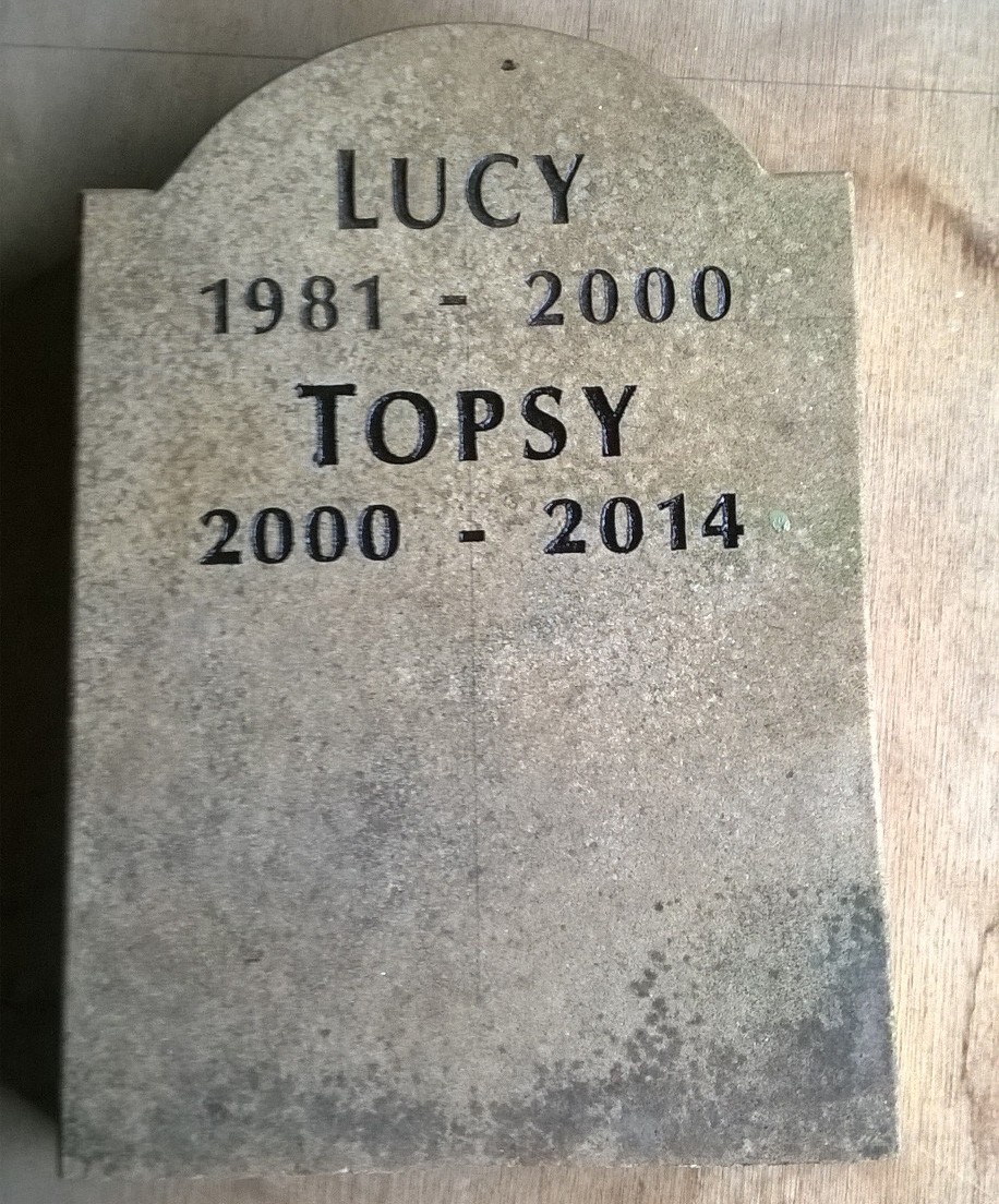 Lucy and Topsy Engraved shaped sandstone