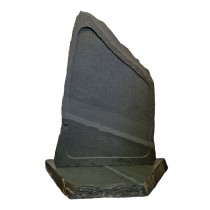 PJ25