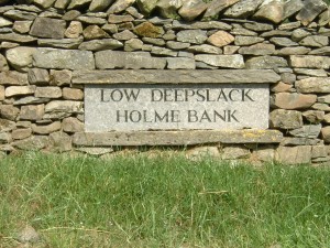 Stone with Hand Cut Letters, engraved and painted Name Plate.